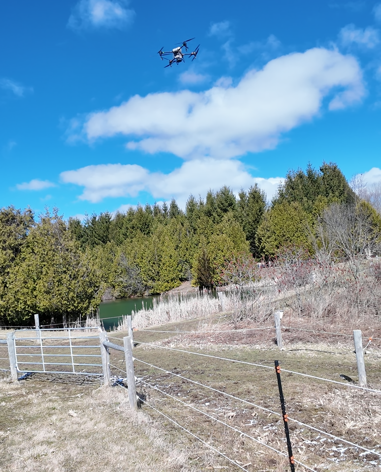 The T50 in flight over the pasture, heading toward the application area with pond and treeline in the background