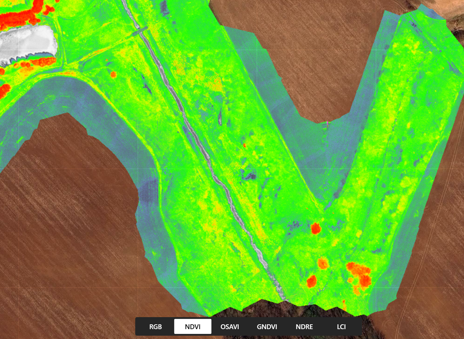 NDVI vegetation index map of the site showing green (healthy vegetation) and red/blue (bare or stressed areas)