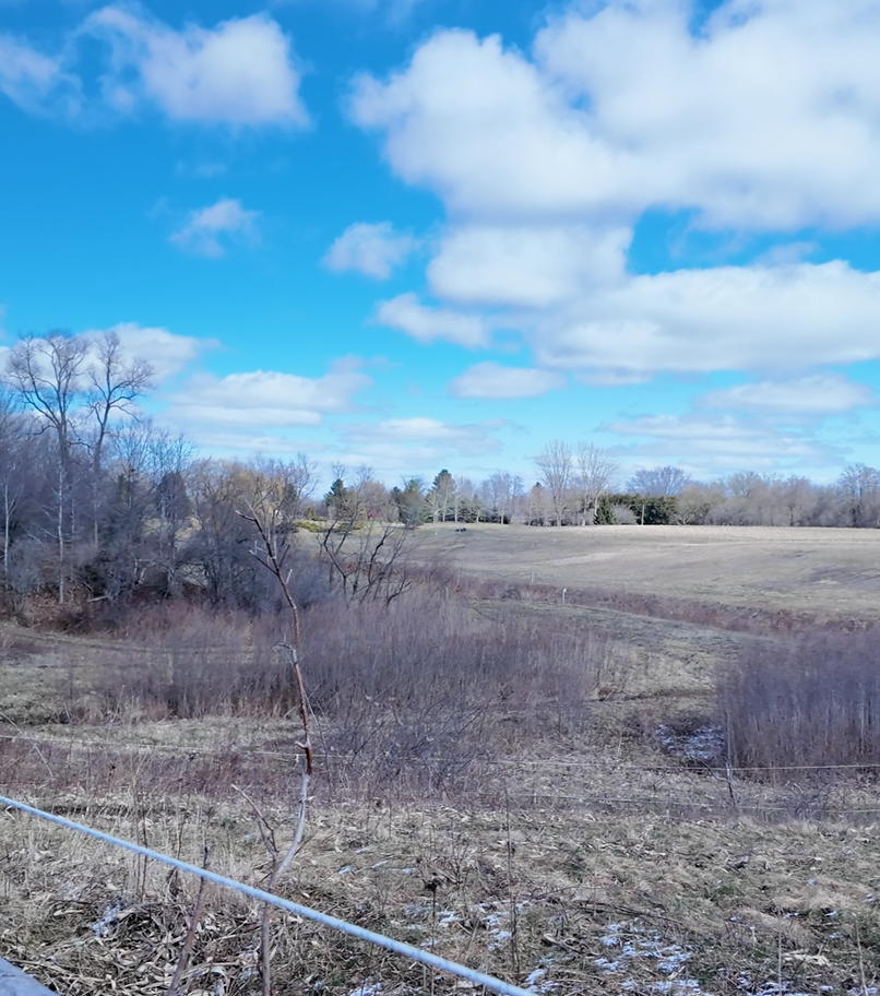 The application site — open rolling pasture in early spring, still brown from winter dormancy