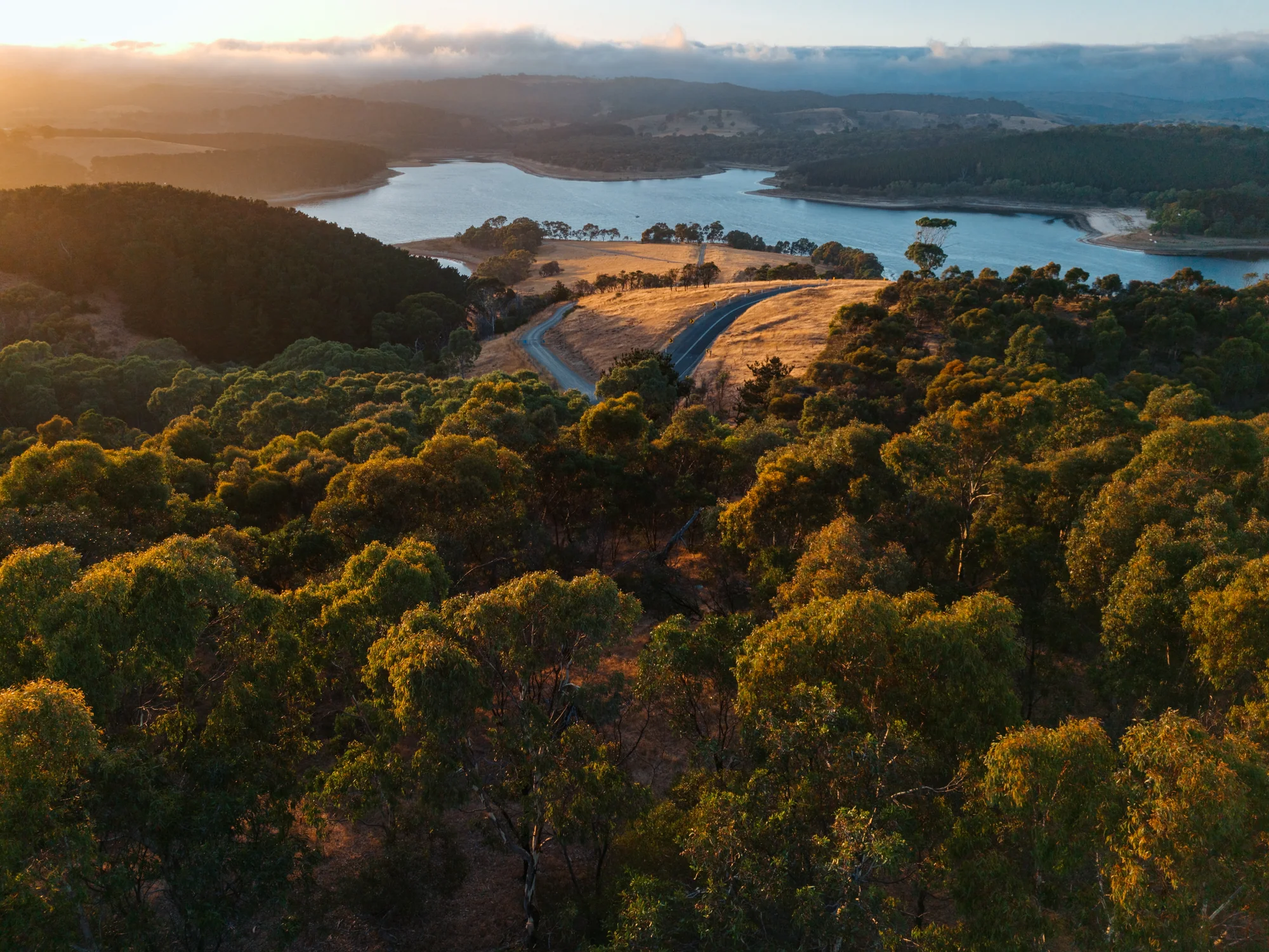 DJI Lito X1 sample image 4