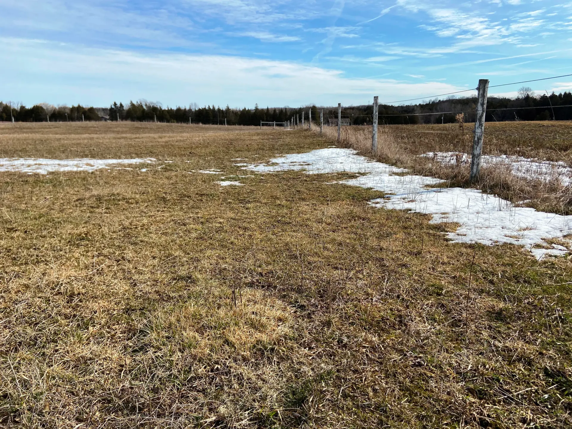 Pasture and forage