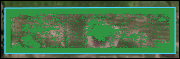 Prescription weed spraying map from drone scouting
