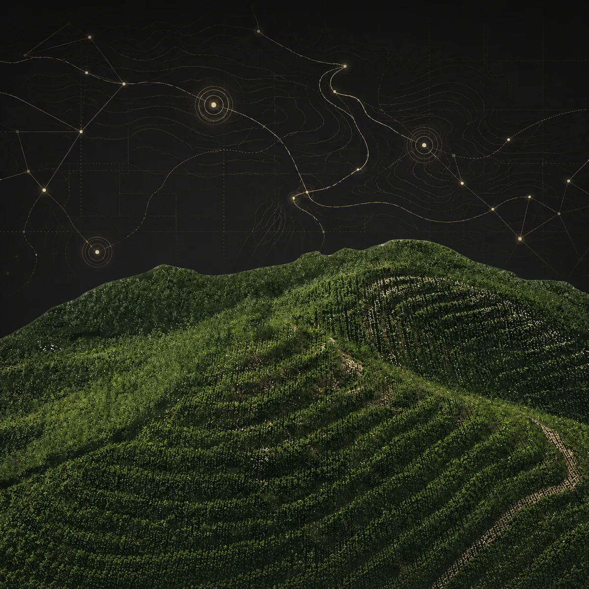 Field mapping workflow with XAG equipment