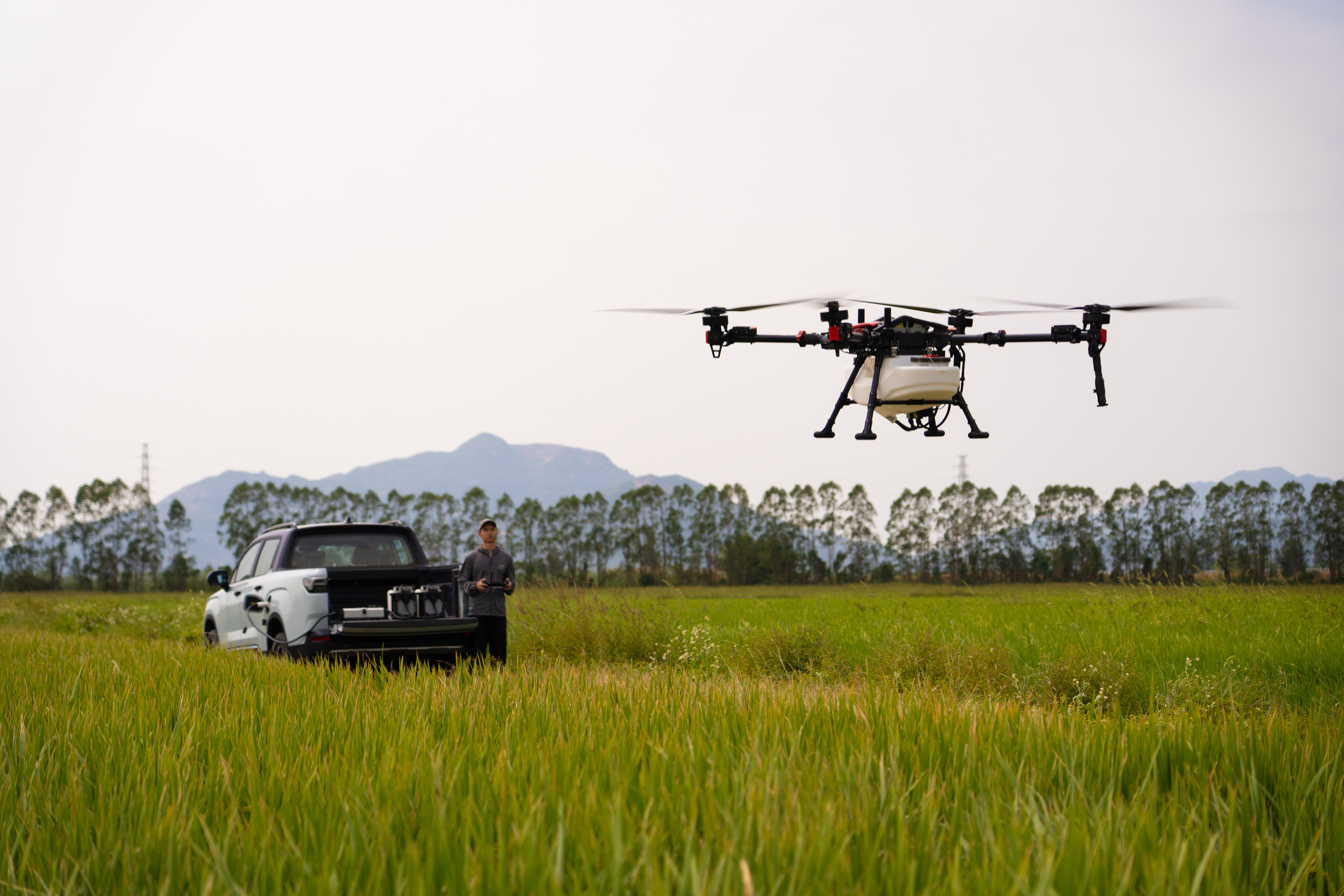 XAG P150 Max spraying over a rice paddy