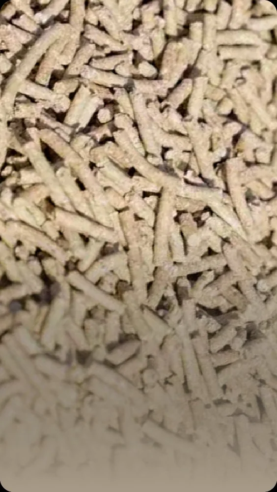 Aquaculture feed