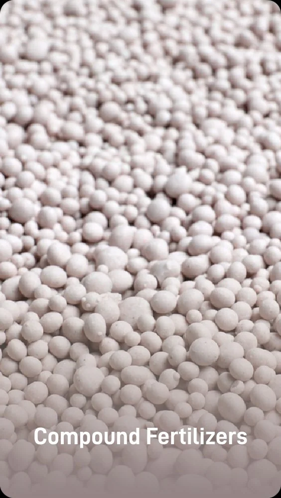 Compound fertilizer