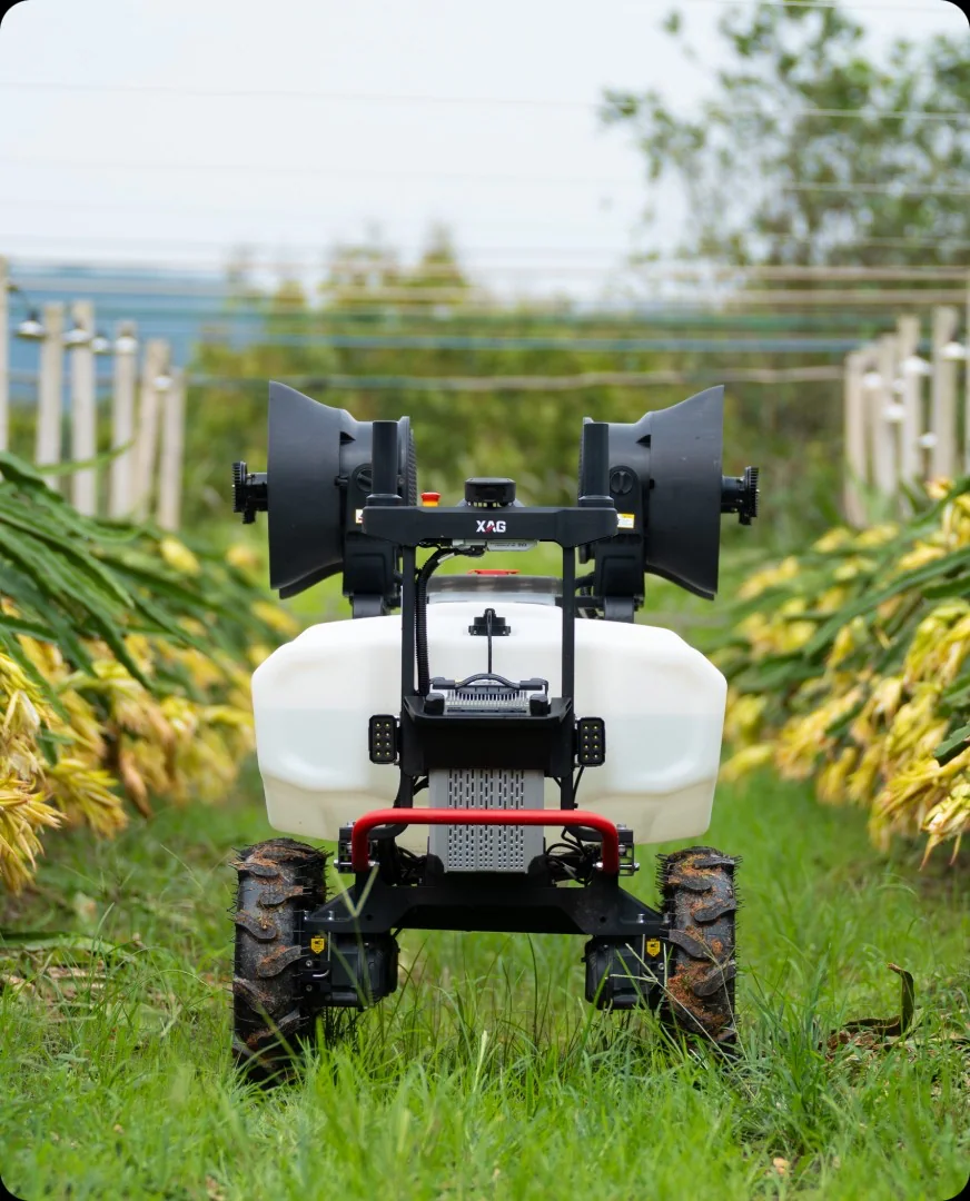 Dragon-fruit crop row application scenario