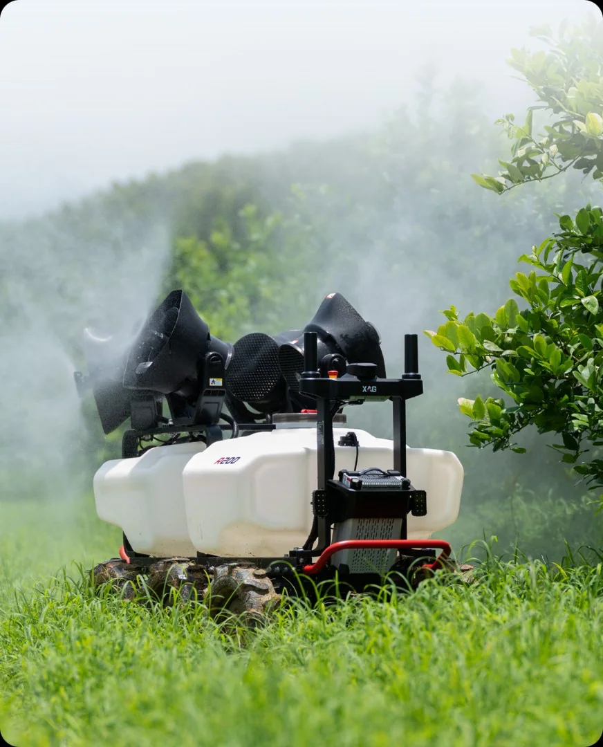 Lemon orchard application scenario