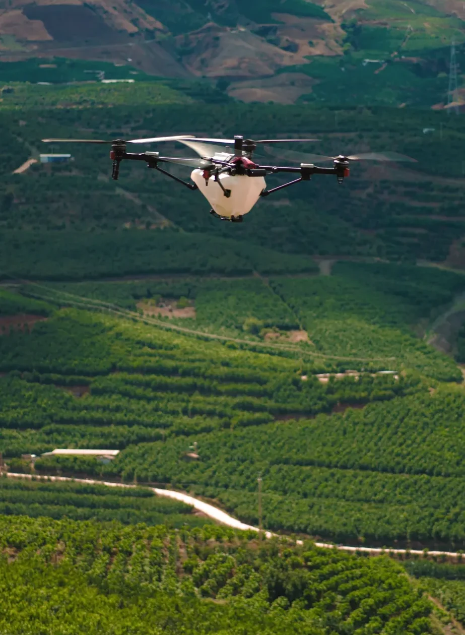 X Series drone patrolling terraced orchards